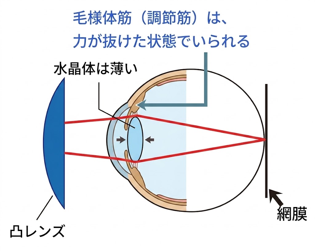 □「屈折異常と、その矯正 vol.1」眼は近くを見た時に、違う屈折異常に